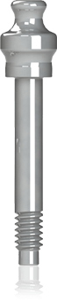 Screw for Transfer Type